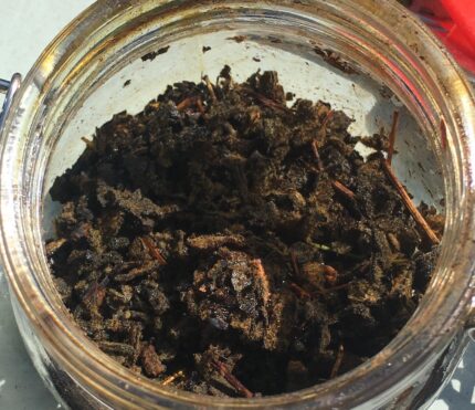 Buy Changa Dmt Online